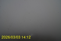 Img20260303_141242.jpg