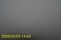 Img20260303_144242.jpg