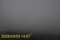 Img20260303_145742.jpg