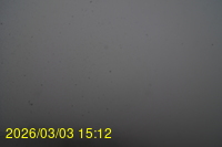 Img20260303_151242.jpg