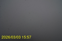 Img20260303_155742.jpg