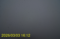 Img20260303_161242.jpg