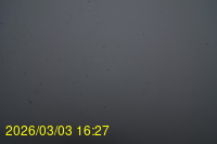 Img20260303_162742.jpg