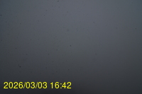 Img20260303_164242.jpg