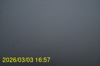 Img20260303_165742.jpg