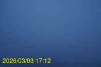 Img20260303_171243.jpg