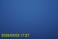Img20260303_172742.jpg