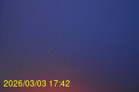 Img20260303_174243.jpg