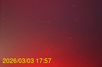 Img20260303_175743.jpg
