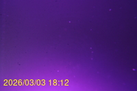 Img20260303_181243.jpg