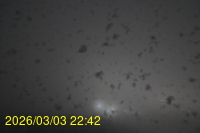 Img20260303_224243.jpg