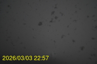 Img20260303_225743.jpg