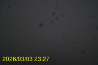Img20260303_232743.jpg