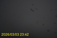 Img20260303_234243.jpg