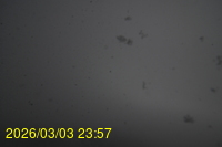 Img20260303_235743.jpg