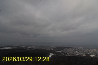 Img20260329_122850.jpg