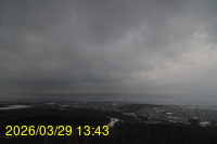 Img20260329_134350.jpg