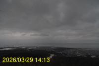 Img20260329_141350.jpg