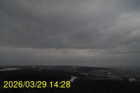 Img20260329_142850.jpg