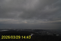 Img20260329_144350.jpg