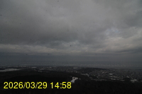 Img20260329_145850.jpg