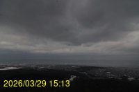 Img20260329_151350.jpg