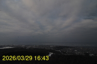 Img20260329_164351.jpg