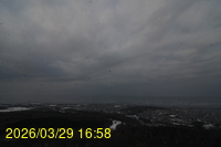 Img20260329_165851.jpg