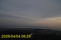 Img20260404_062908.jpg