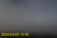 Img20260405_155913.jpg
