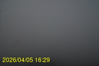 Img20260405_162913.jpg