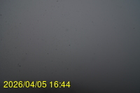 Img20260405_164413.jpg