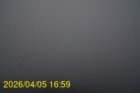Img20260405_165913.jpg