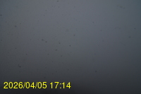 Img20260405_171413.jpg