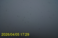 Img20260405_172913.jpg