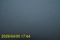Img20260405_174413.jpg