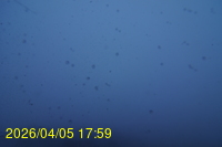 Img20260405_175913.jpg