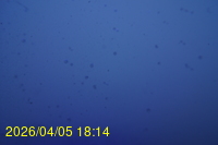 Img20260405_181413.jpg