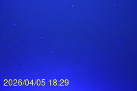 Img20260405_182913.jpg