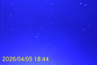 Img20260405_184413.jpg