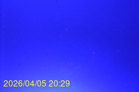 Img20260405_202913.jpg