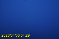 Img20260406_042914.jpg