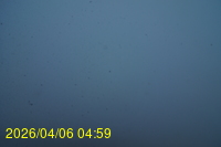 Img20260406_045914.jpg