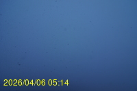 Img20260406_051414.jpg