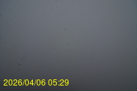 Img20260406_052915.jpg