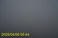 Img20260406_054415.jpg