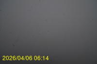 Img20260406_061415.jpg