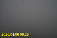 Img20260406_062915.jpg