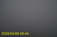 Img20260406_064415.jpg
