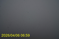 Img20260406_065915.jpg